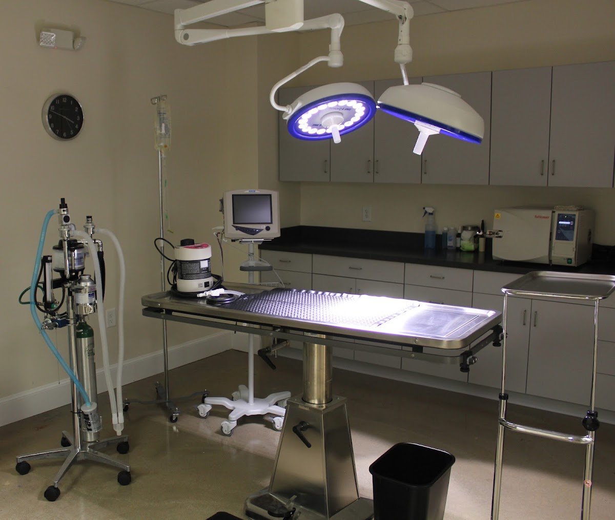 Animal Wellness Center of Athens photo 5