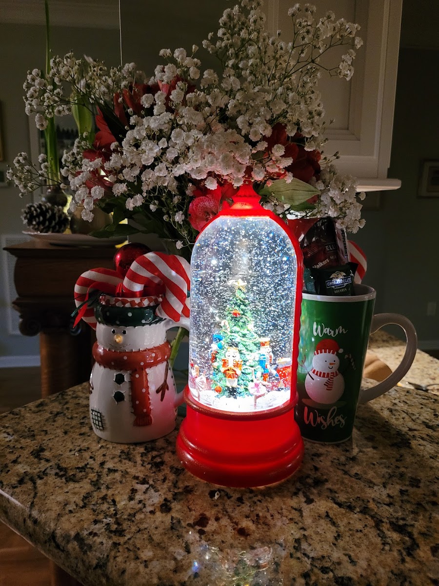 Appointments At Five photo 3