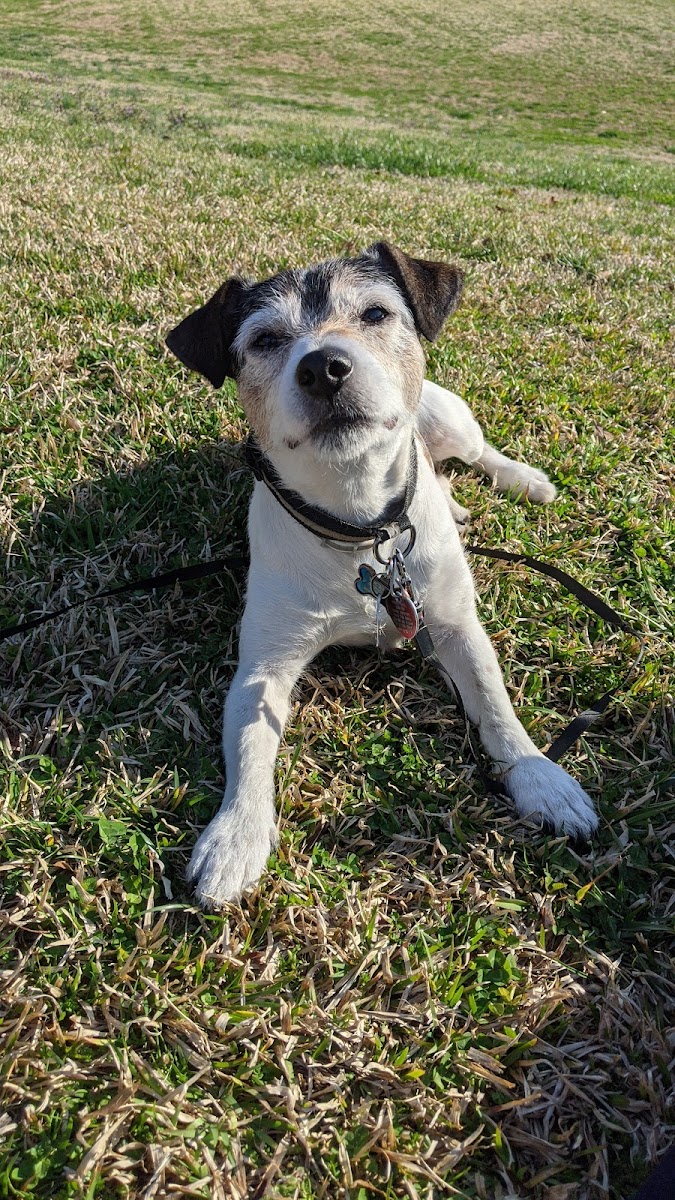 Athens Animal Hospital photo 4