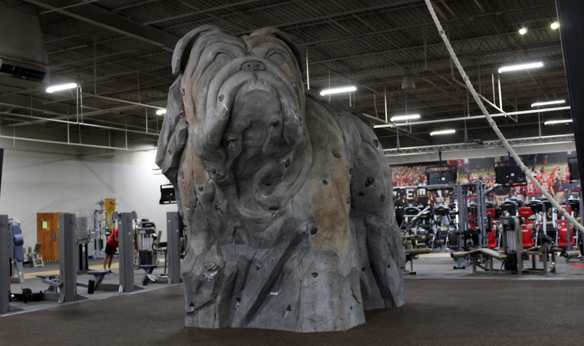 Athens Health & Fitness photo 5