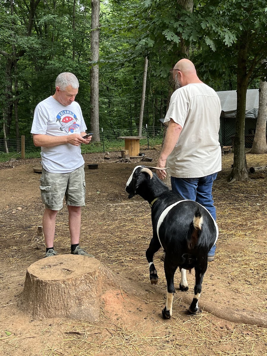 Athens Regional Veterinary Services photo 4