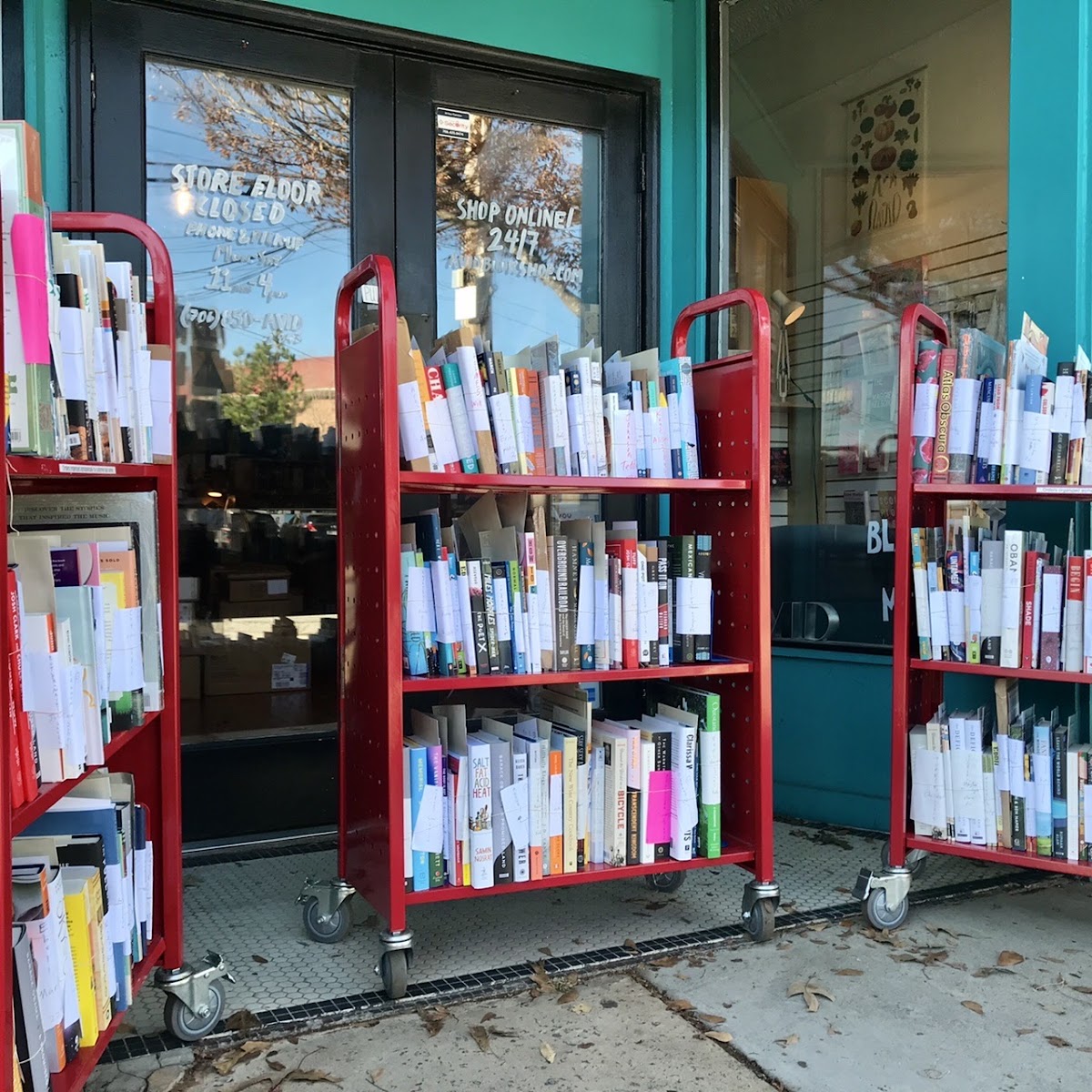 Avid Bookshop photo 4