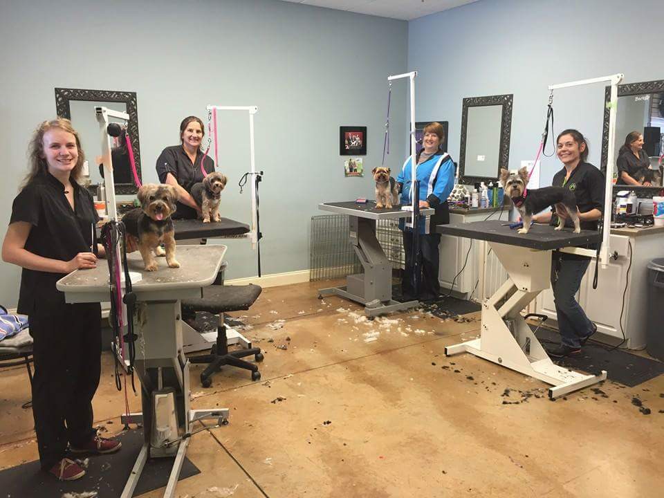 Bark Dog Spa & Boutique in Athens, GA