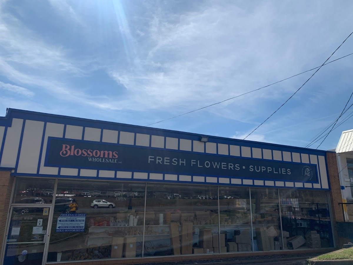 Blossoms Wholesale photo 5