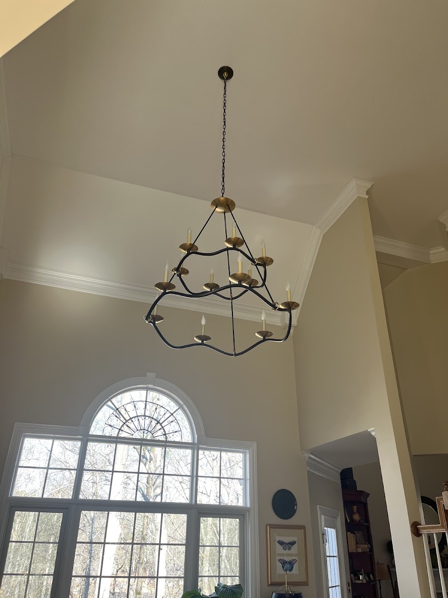 Blue Moon Electric photo 2