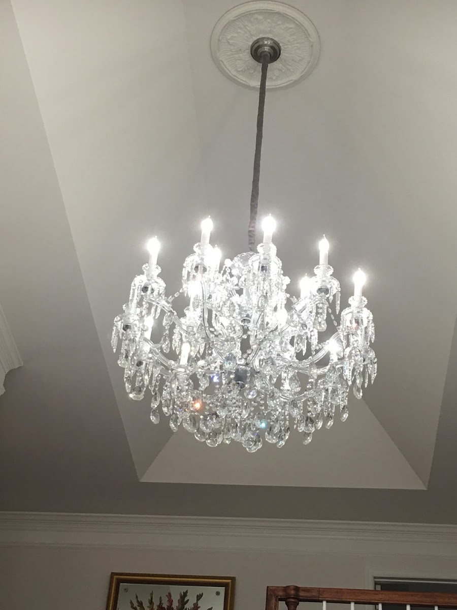 Blue Moon Electric photo 5