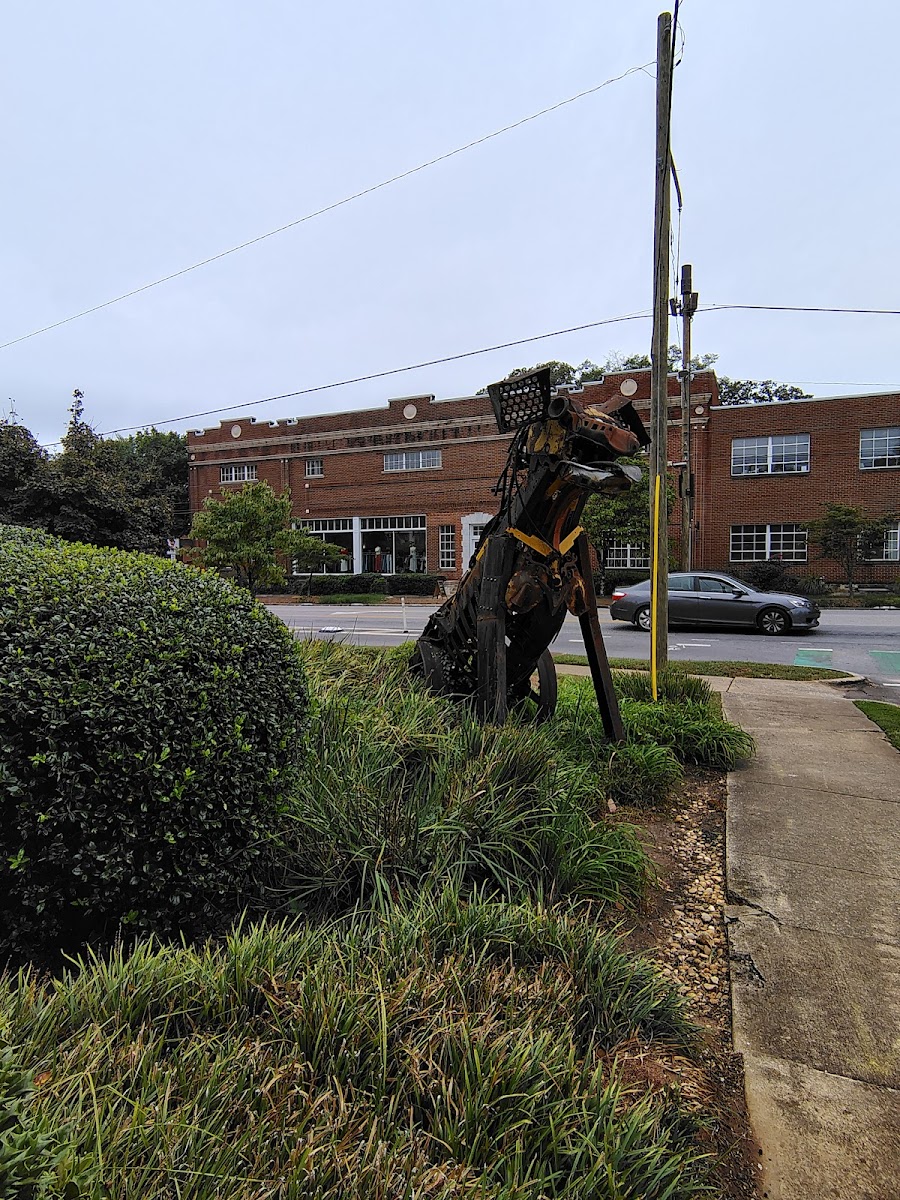 Boulevard Animal Hospital photo 5