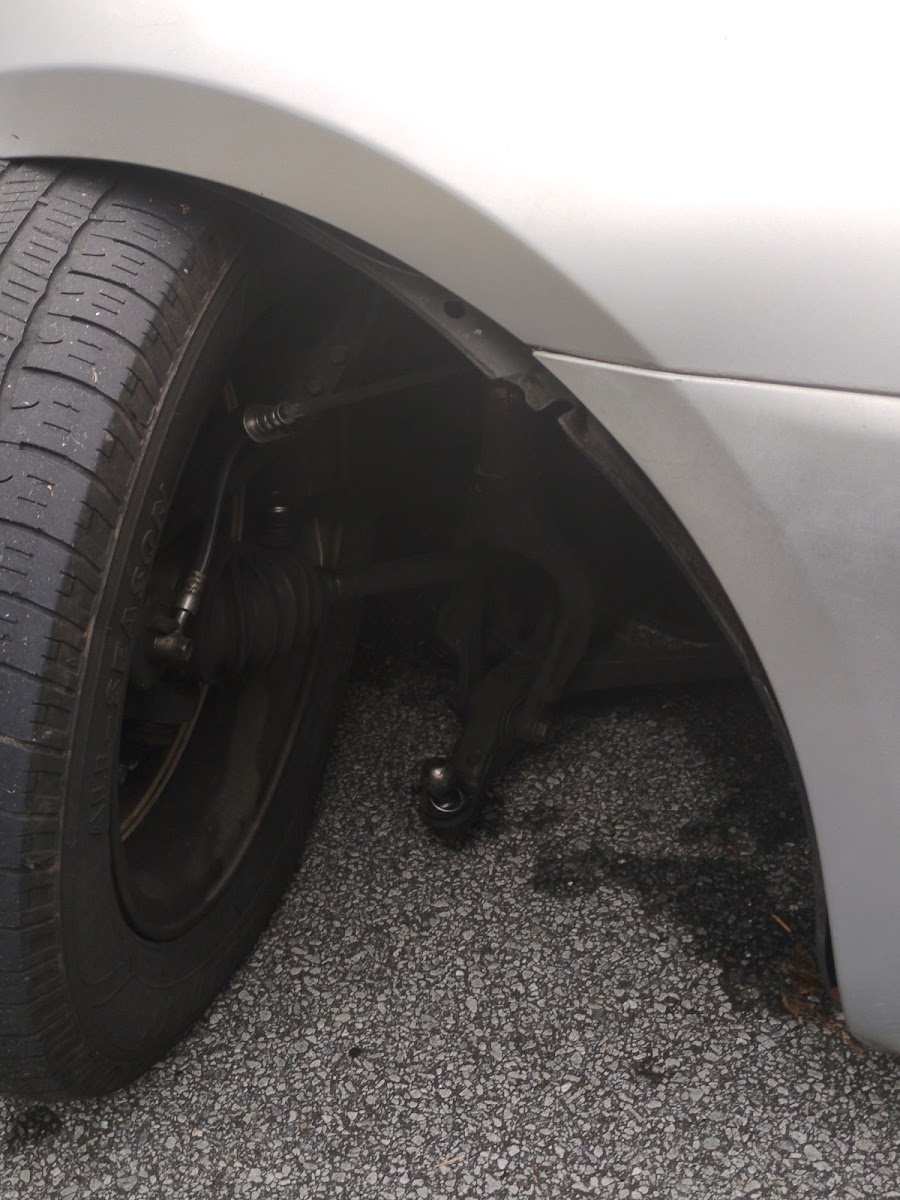 Butler’s Automotive Inc photo 2