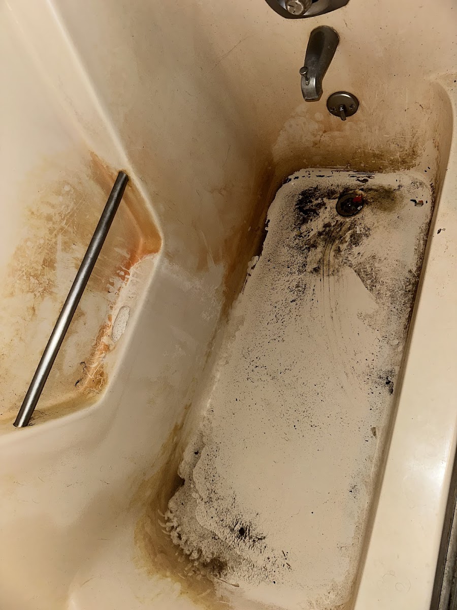 Dogwood Cleaning Company, LLC. photo 4