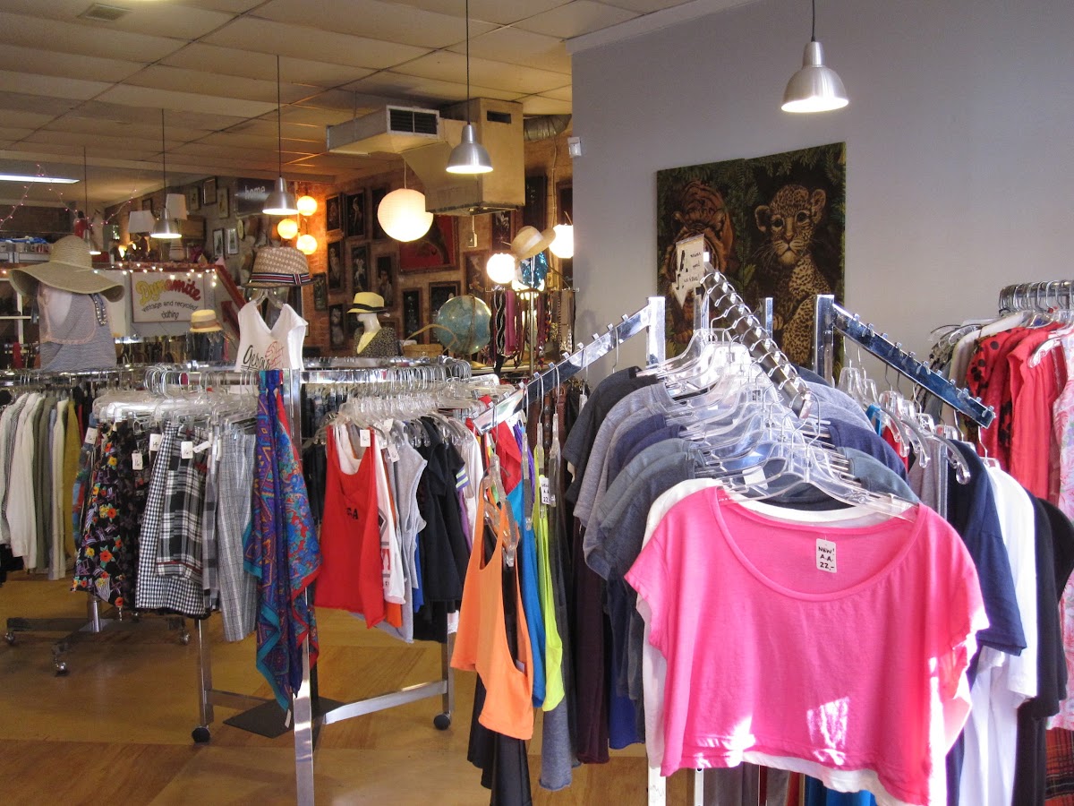 Dynamite Clothing photo 5