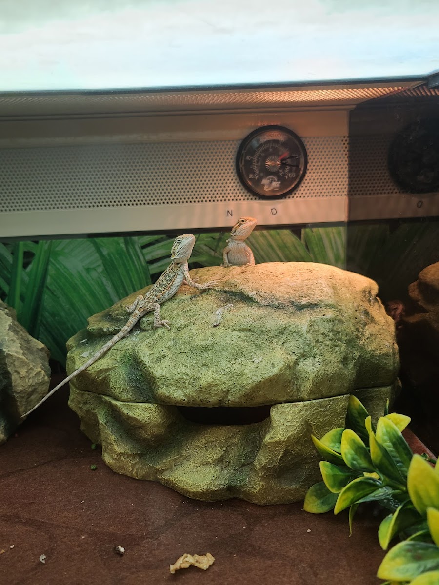 Epps Bridge Centre photo 4