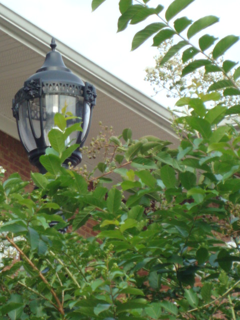 Fitness @ Five in Eastside Athens, Athens, GA