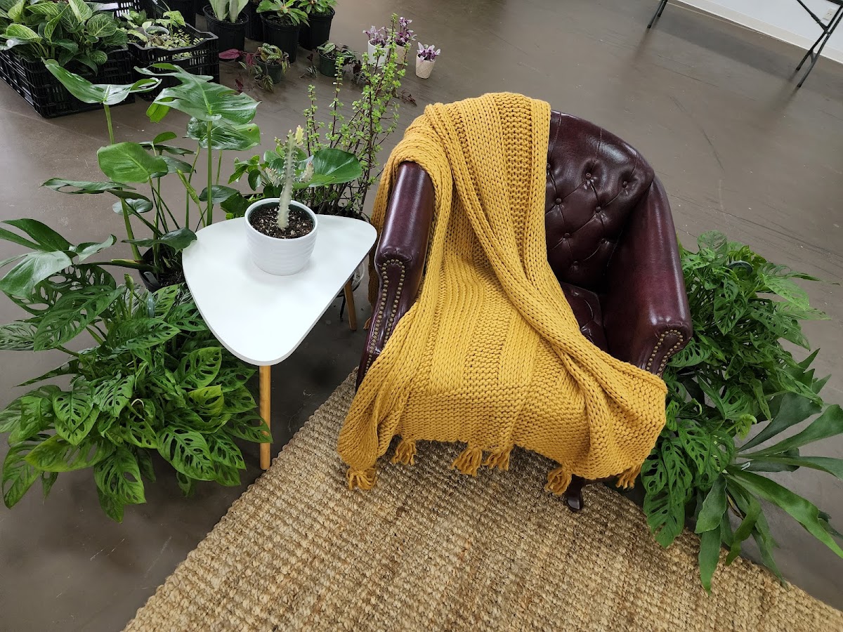 Foxglove PlantBar photo 4