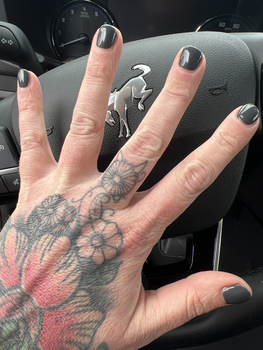 Frenchies Modern Nail Care Athens photo 4