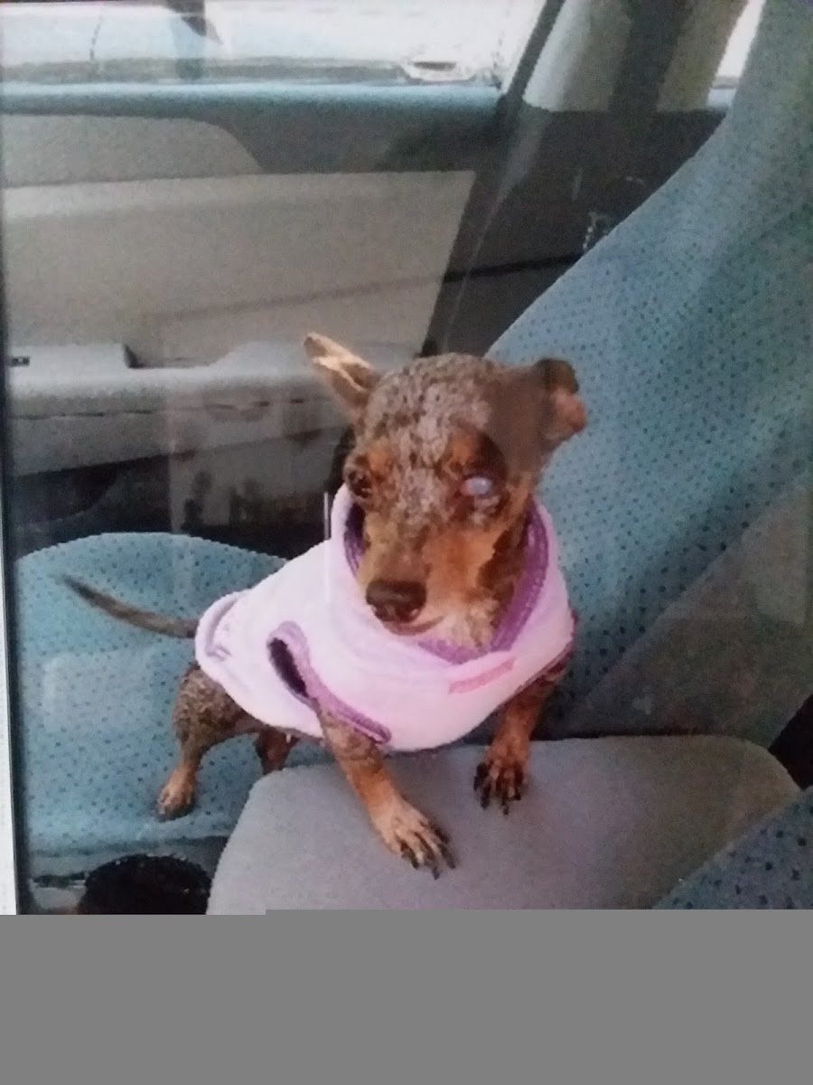 Georgia Center For Sight - Athens photo 3