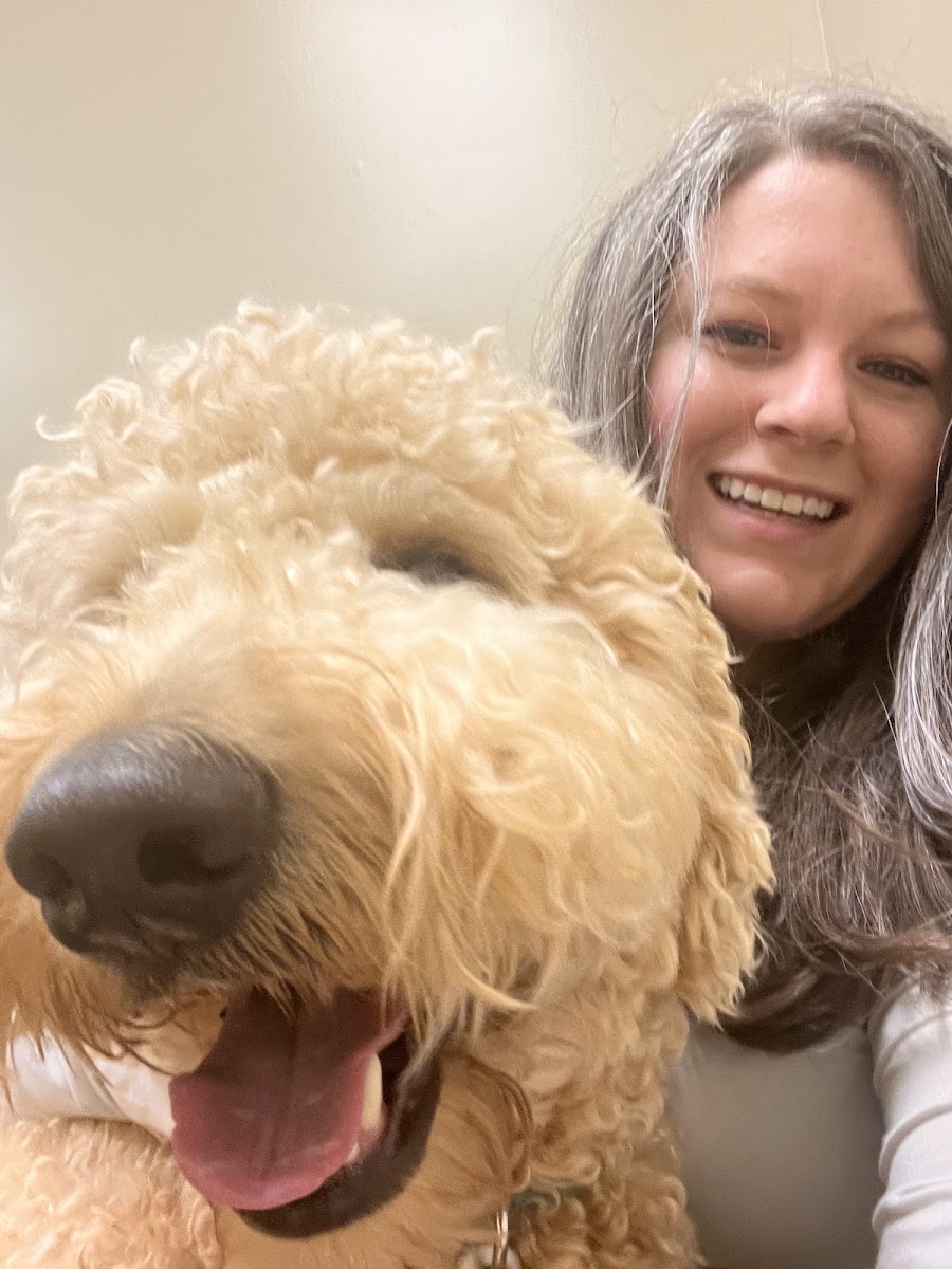 Good Hands Veterinary Hospital photo 3