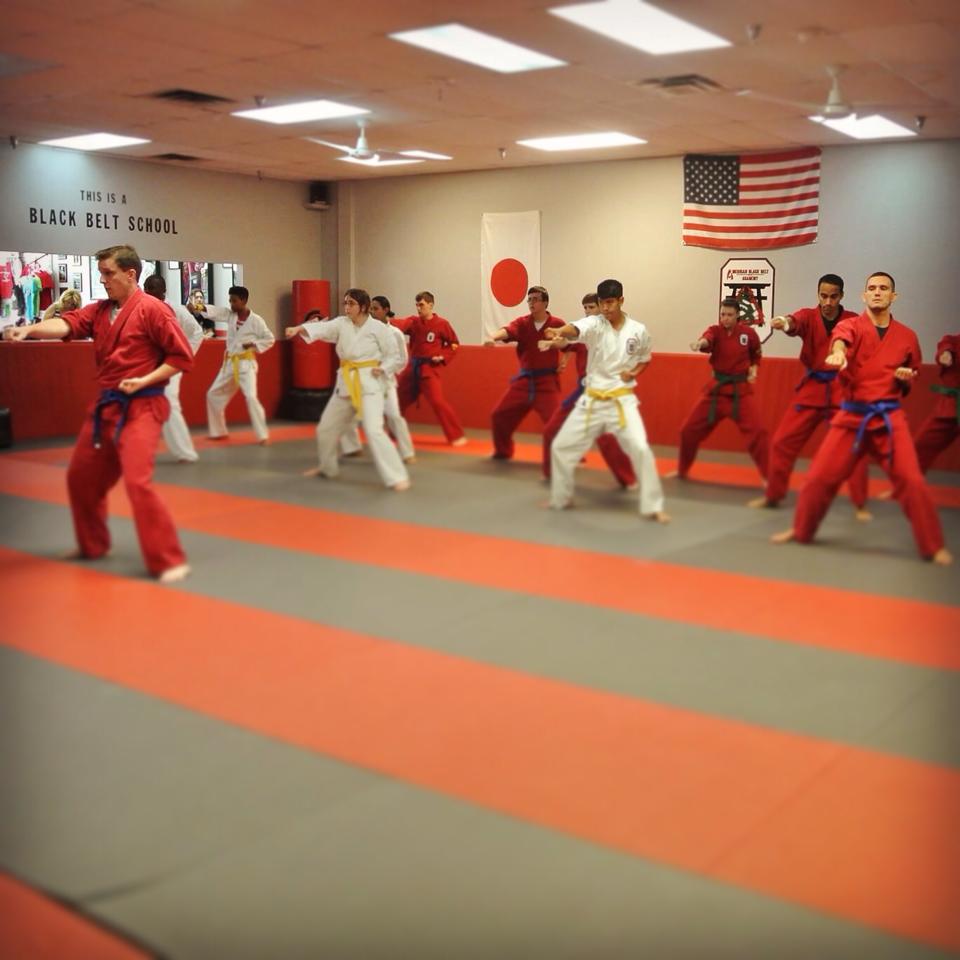 GRACIE JIU-JITSU ATHENS at American Black Belt Academy photo 3