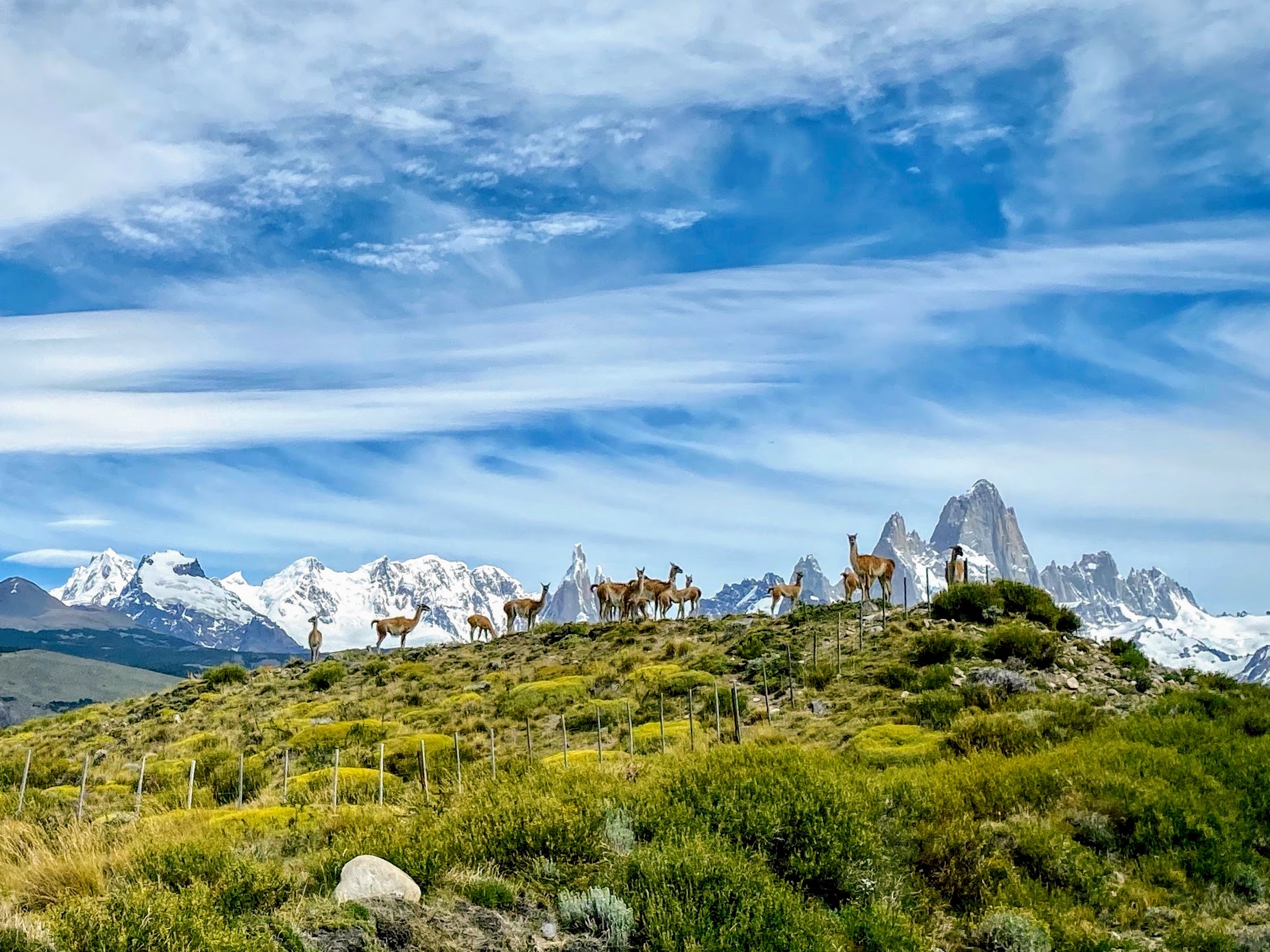 Inspire World Travel in Athens, GA