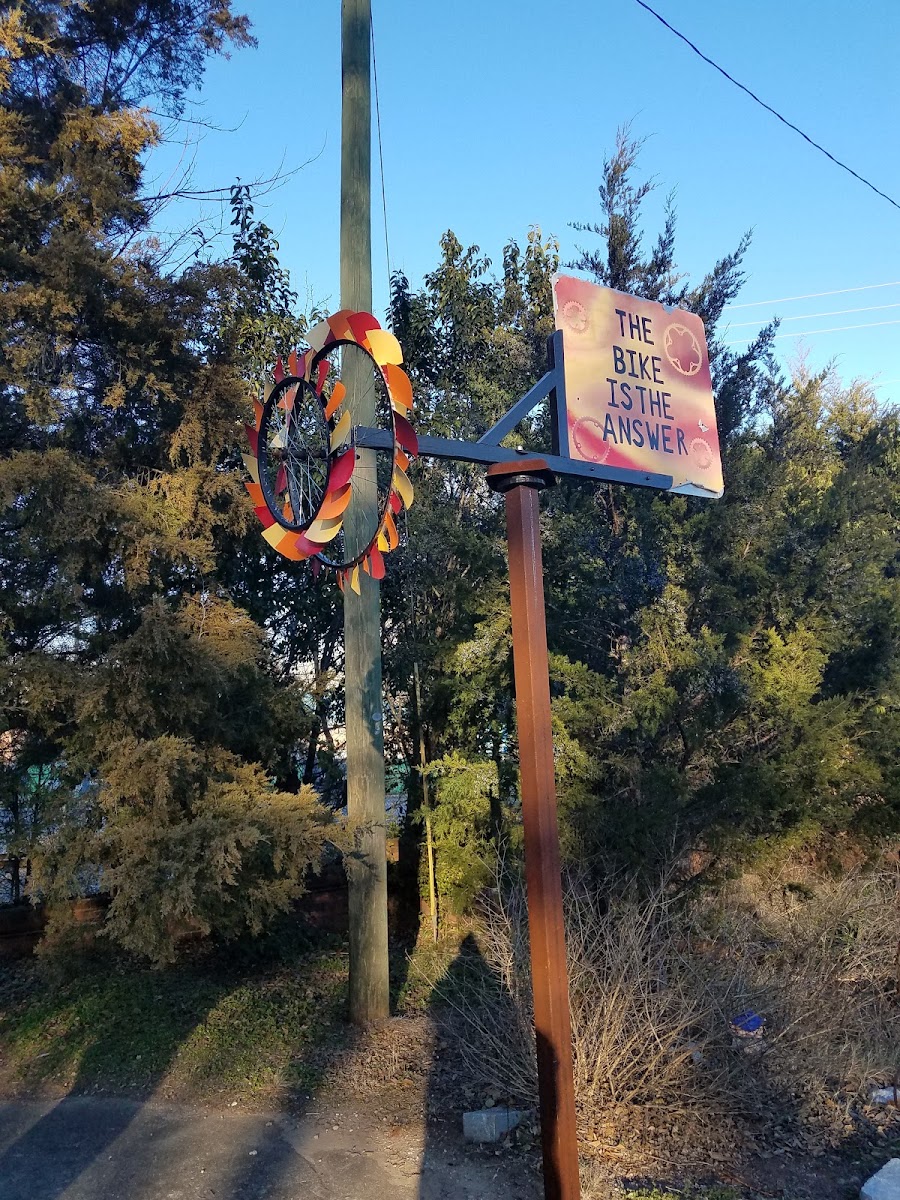 Jittery Joe's Coffee photo 5