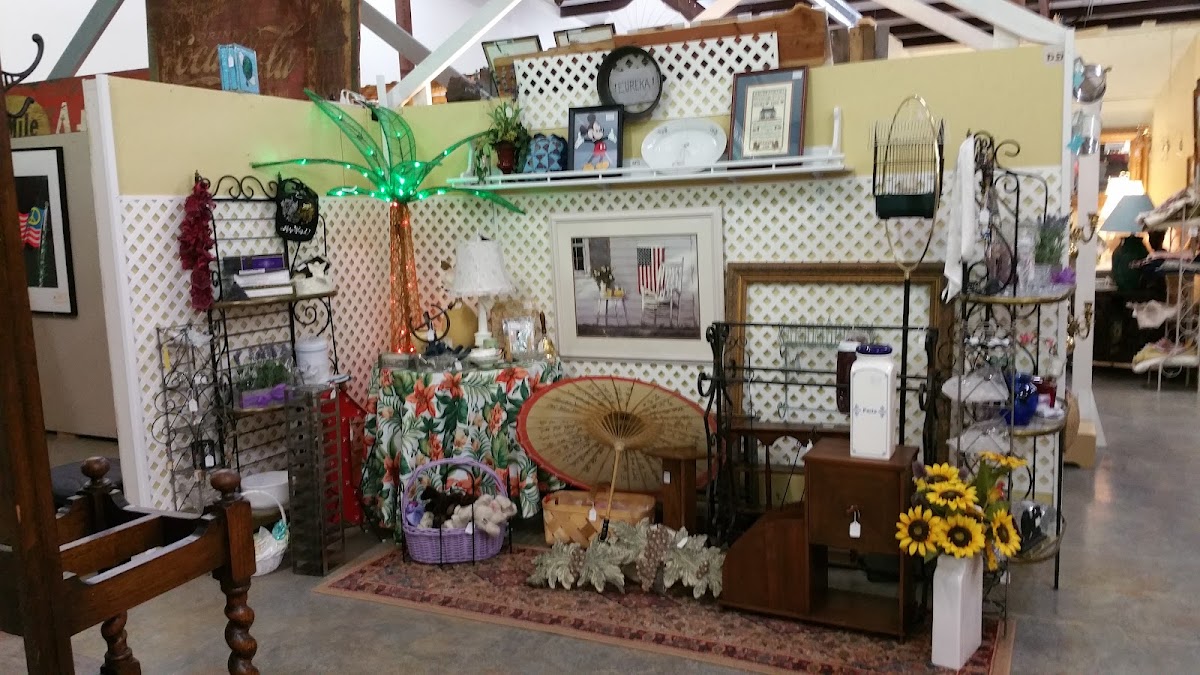 Junk In the Trunk - Retail in Athens, GA