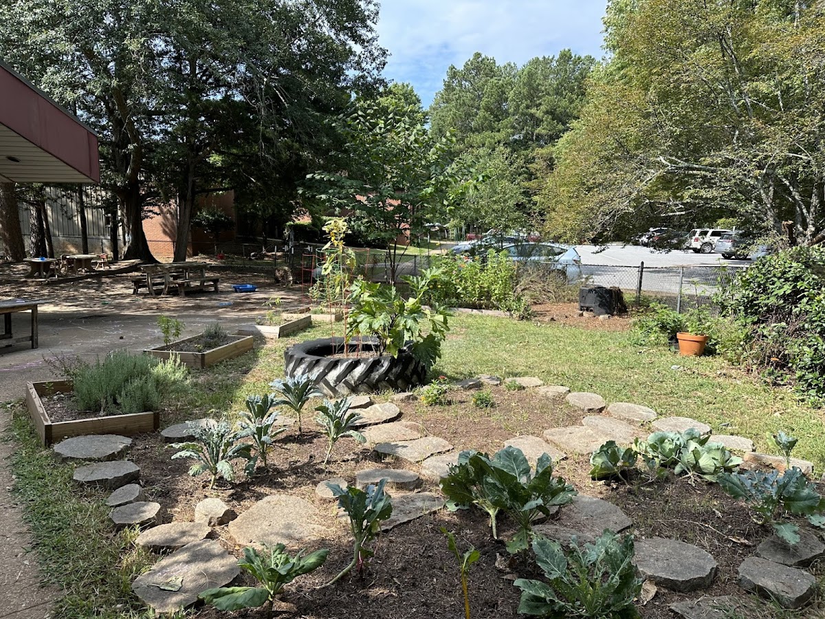 Lifespan Montessori photo 4