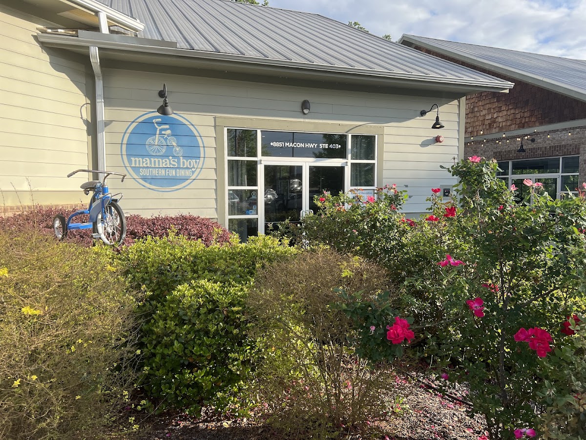Mama's Boy at The Falls of Oconee photo 5