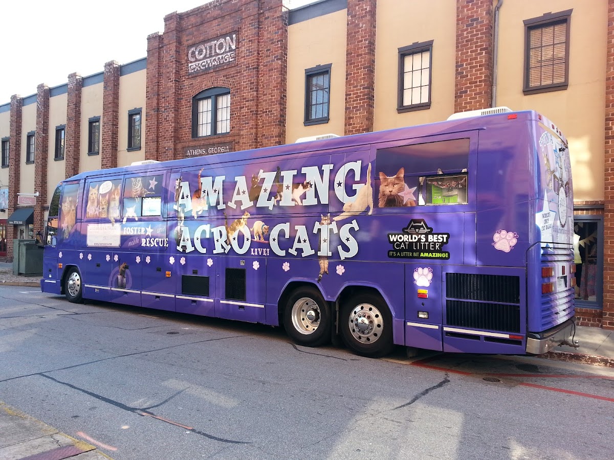 Morton Theatre photo 5