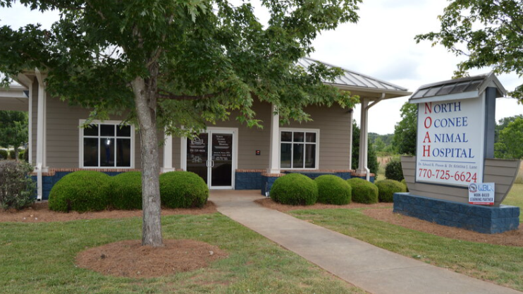 North Oconee Animal Hospital - Veterinary in Athens, GA