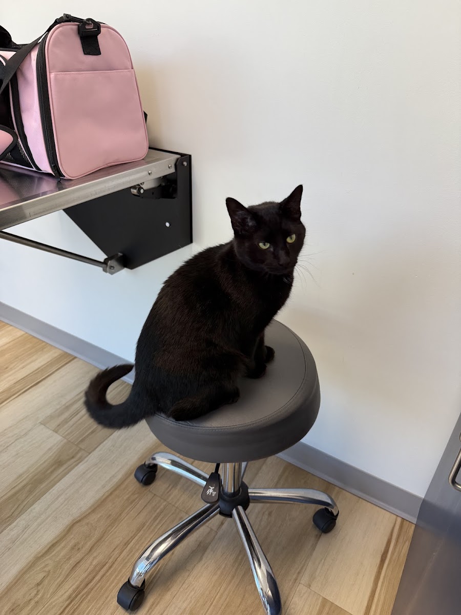 Oak Grove Animal Clinic photo 5