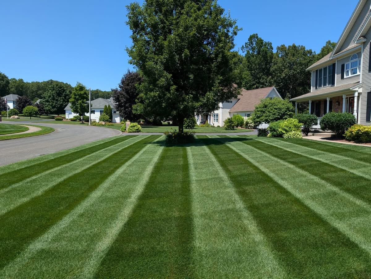 OnDemand Yard Services of Athens - Landscaping in Athens, GA