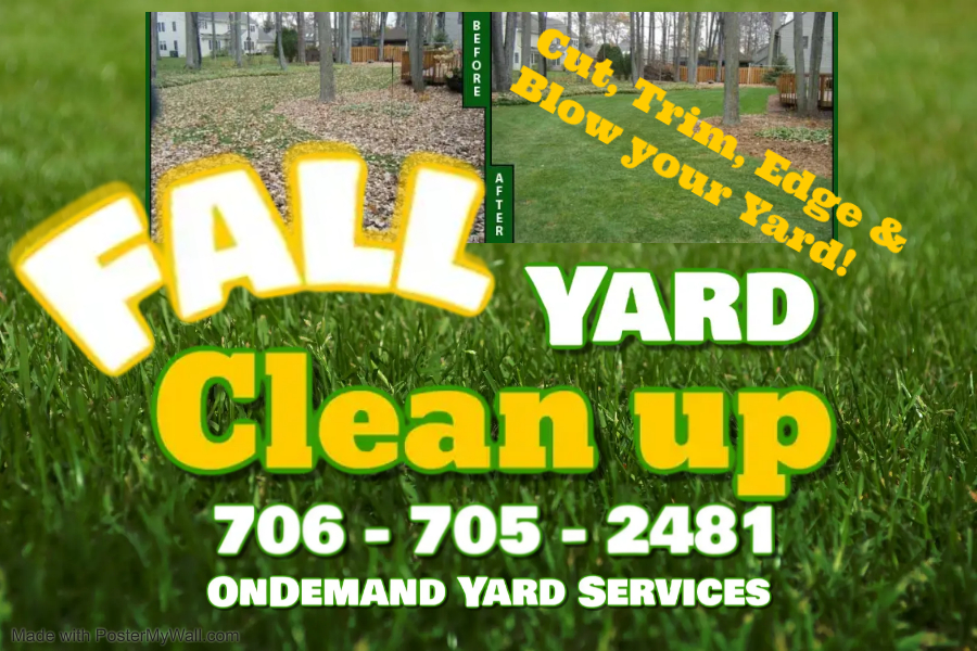 OnDemand Yard Services of Athens photo 4