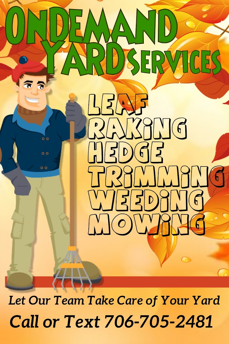 OnDemand Yard Services of Athens photo 5