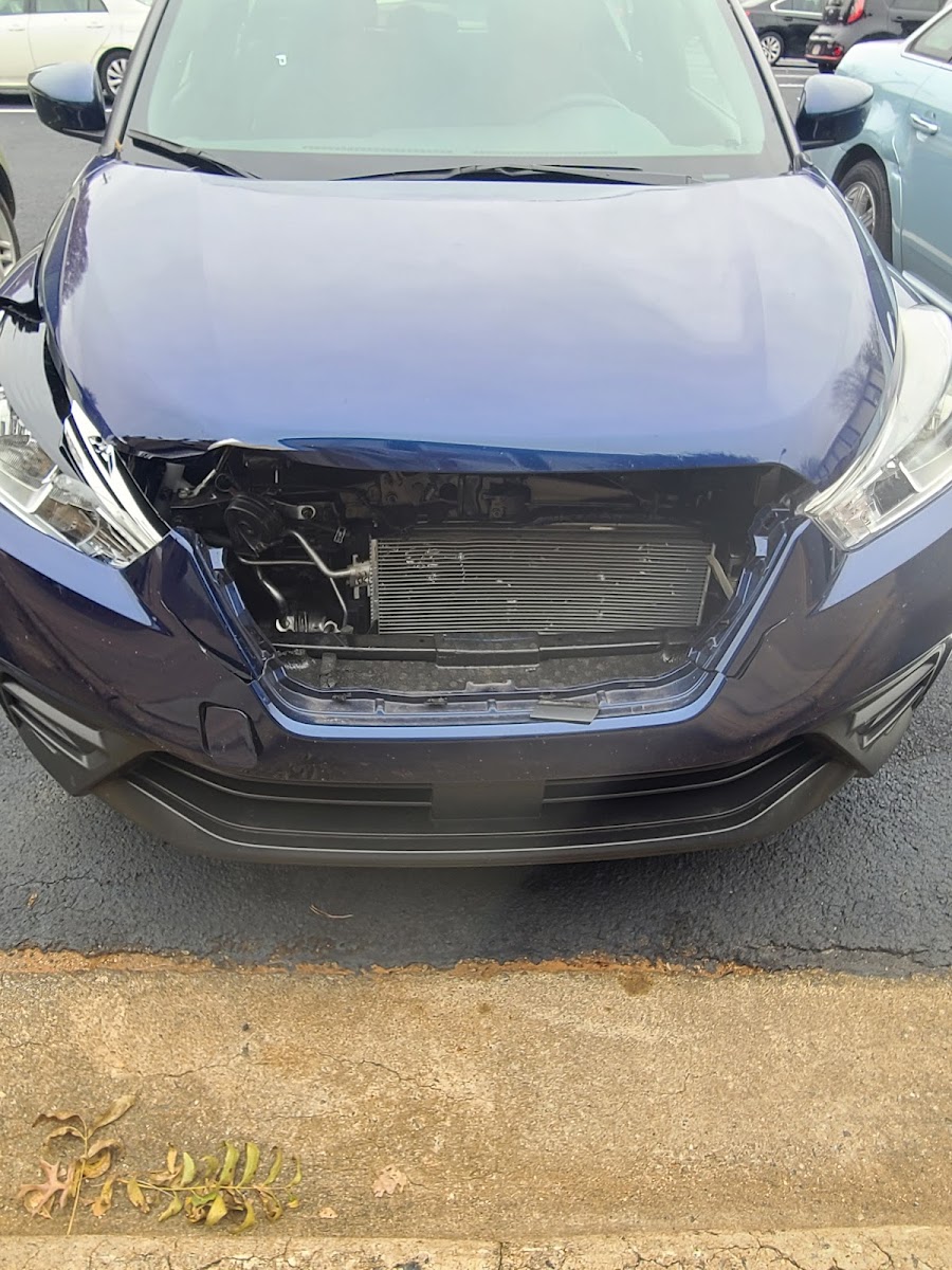 P & P Auto Repair Shop photo 4