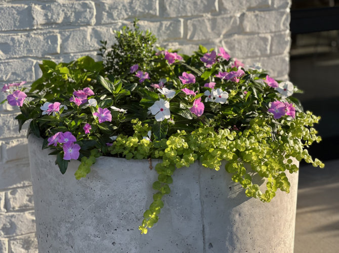 Precision Landscape Management in Athens, GA