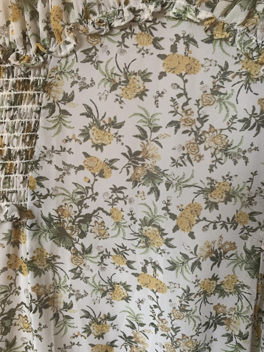 Professional Cleaners photo 4