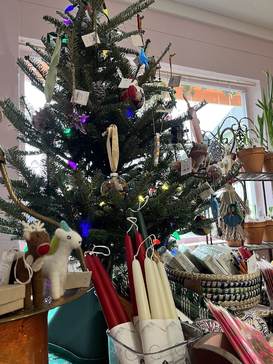 R&R Secret Flowers photo 5