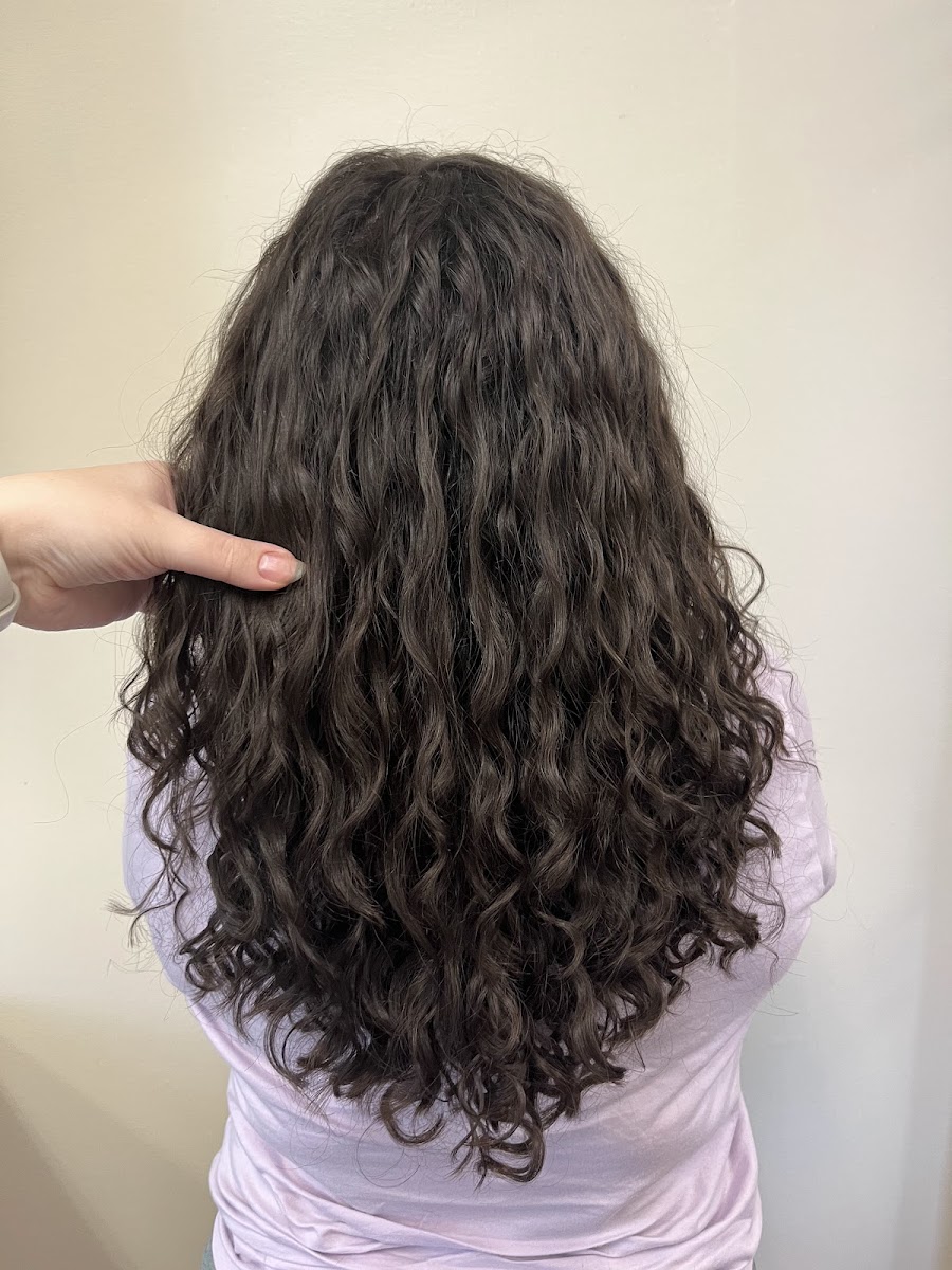 Renew Beauty Collective - Beauty & Salons in Athens, GA