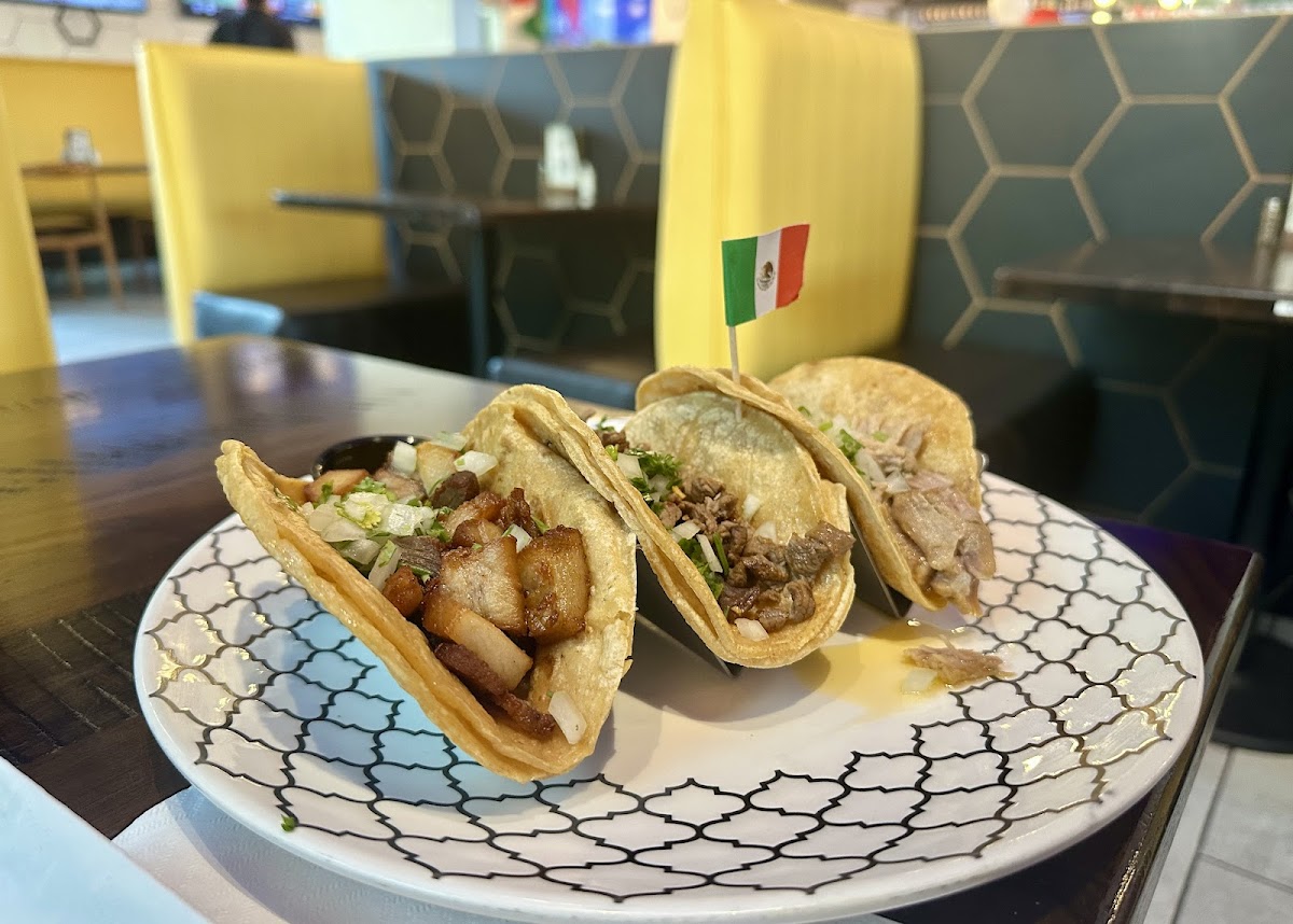 San Angel Mexican Restaurant photo 4