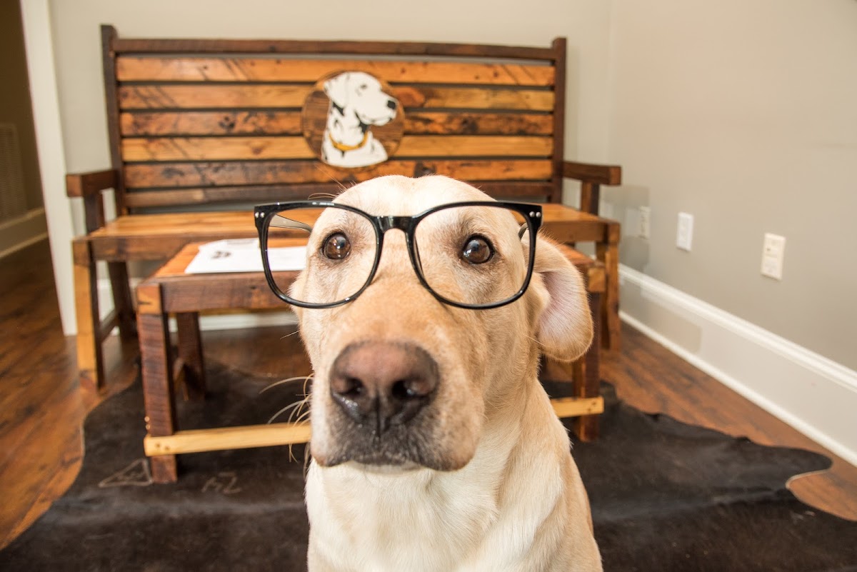 Smart Accounting Solutions - Accounting in Athens, GA