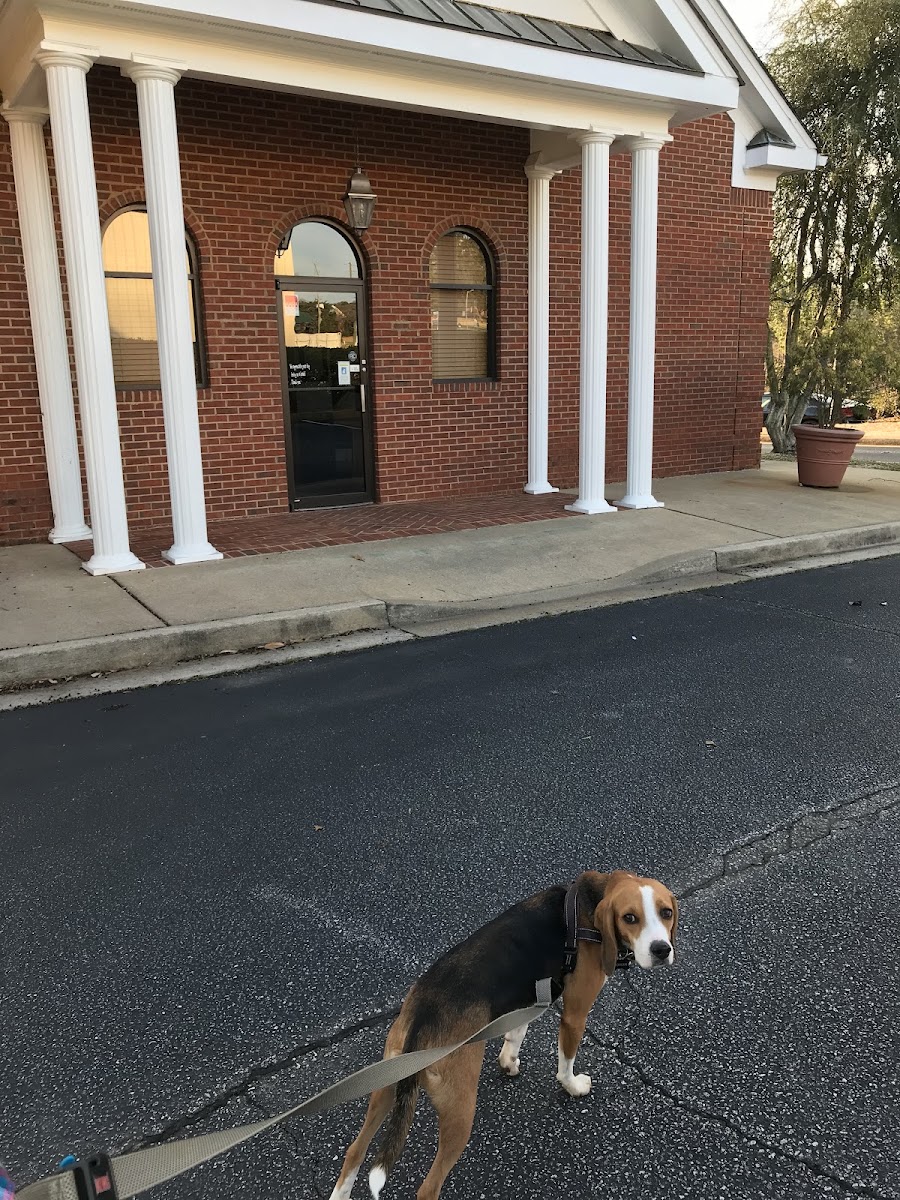 South Athens Animal Clinic in Eastside Athens, Athens, GA