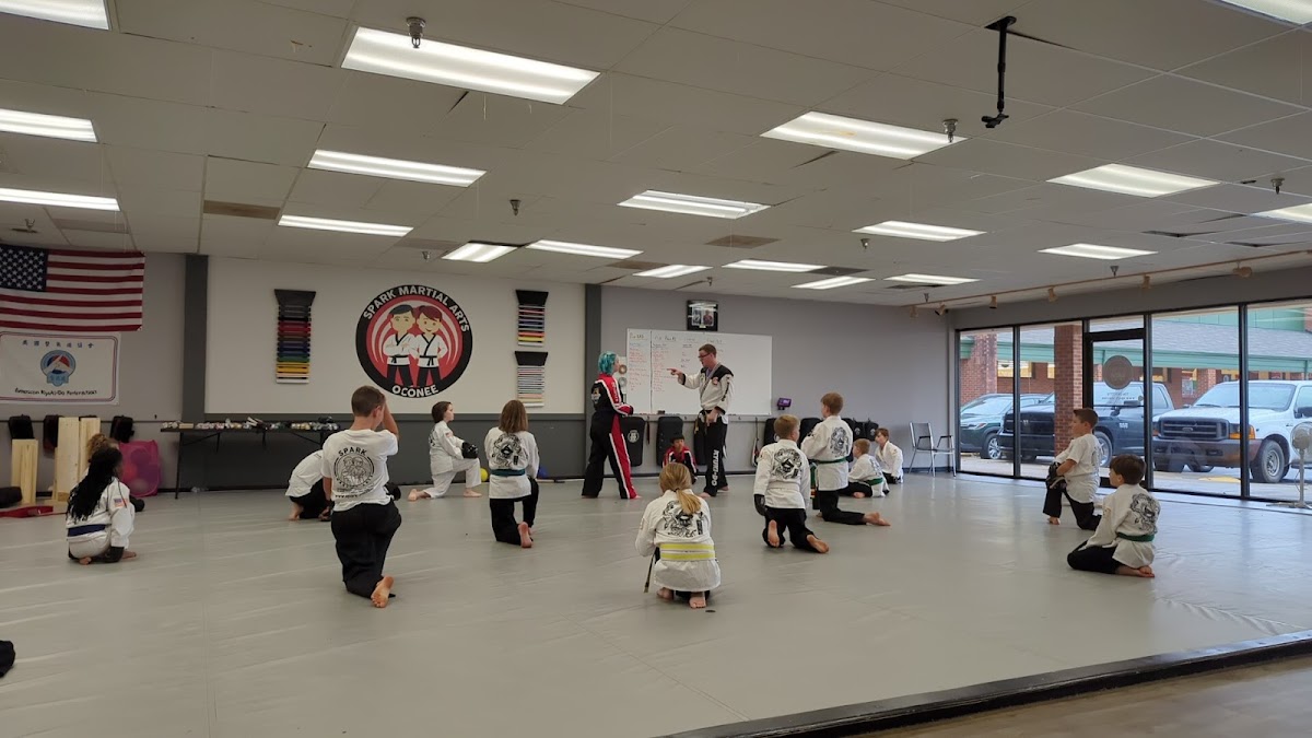 Spark Martial Arts photo 5