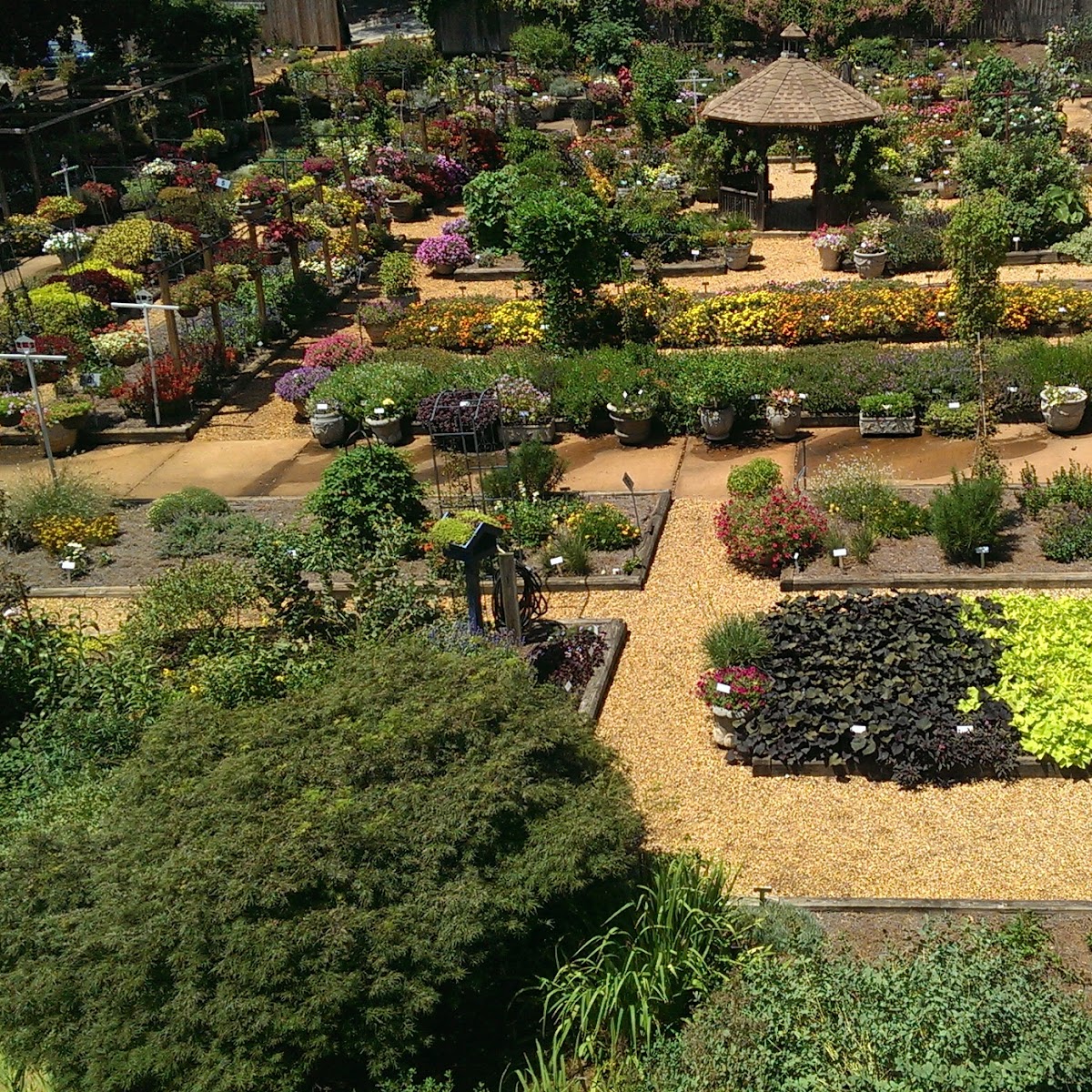 Trial Gardens in Athens, GA