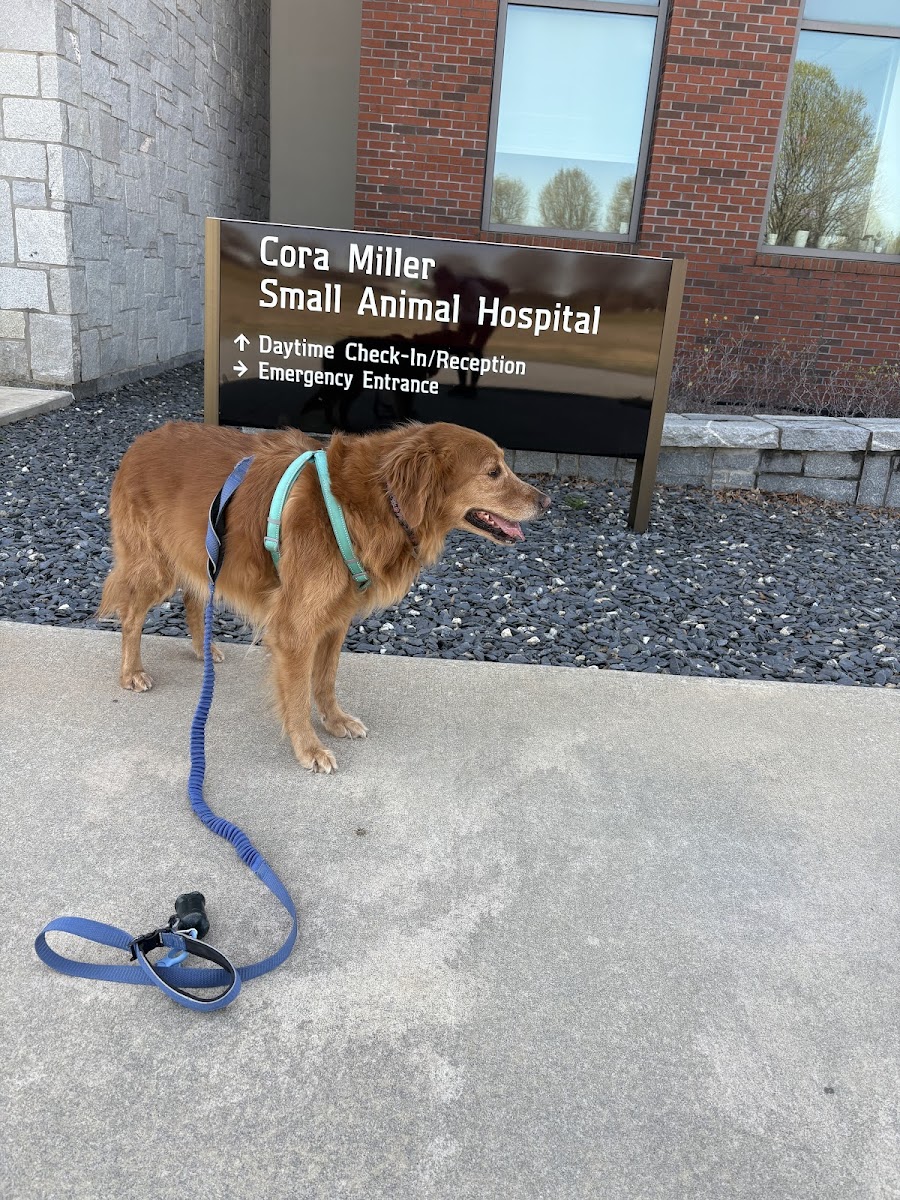 UGA Veterinary Teaching Hospital - Veterinary in Athens, GA
