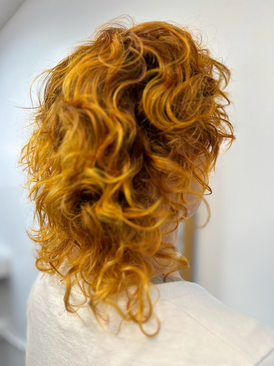 Washington Square Studio photo 3