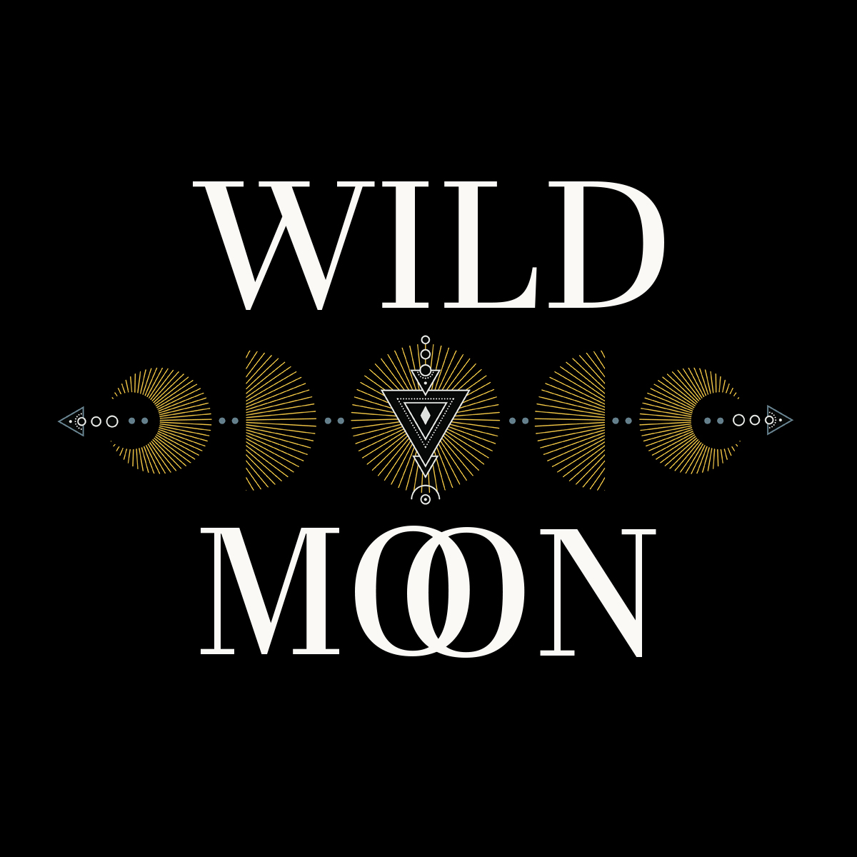Wild Moon Studio photo 5