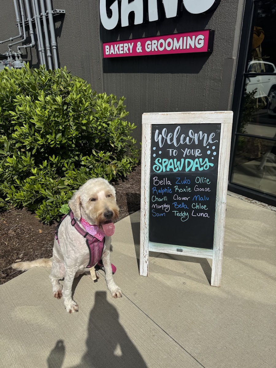 Woof Gang Bakery & Grooming Watkinsville - Retail in Athens, GA